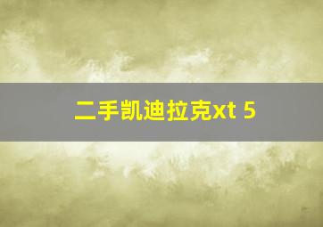 二手凯迪拉克xt 5